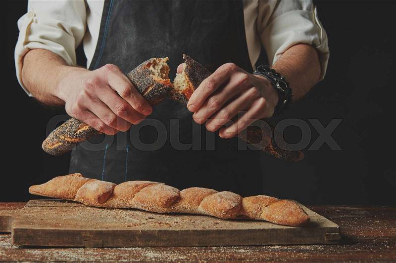 Hands breaking and separating fresh organic baguette, stock photo
