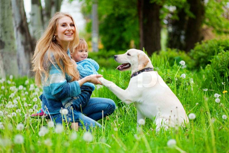 Girl with a white dog wallpapers and images - wallpapers 