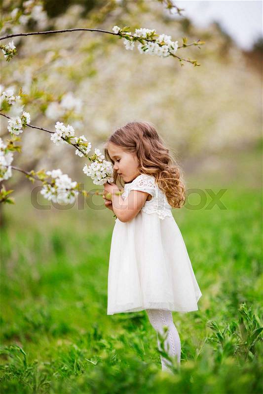Pretty blonde child girl is smelling white flowers in blossom cherry garden. Spring time, stock photo