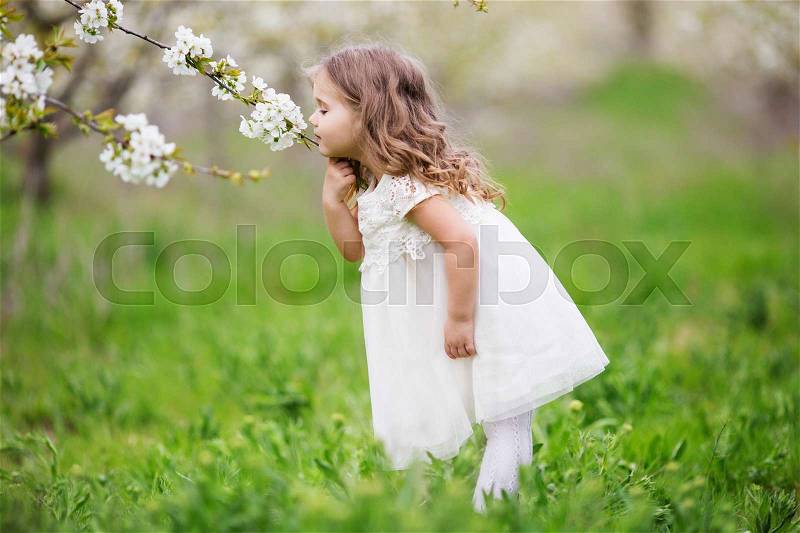 Pretty blonde child girl is smelling flowers in blossom cherry garden. Spring time, stock photo