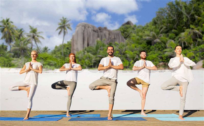 Yoga, fitness, sport and recreation concept - group of people in tree pose on mats outdoors, stock photo