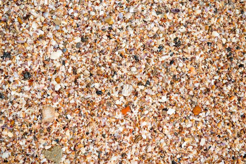 Crushed cockleshells on the beach close-up background, stock photo