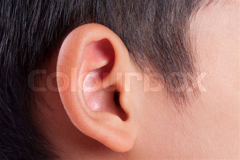 Human ear closeup, stock photo