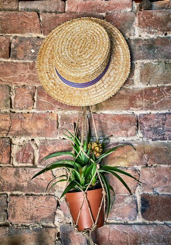 Wall decoration in Pienza, Italy, hat and flower pot, stock photo