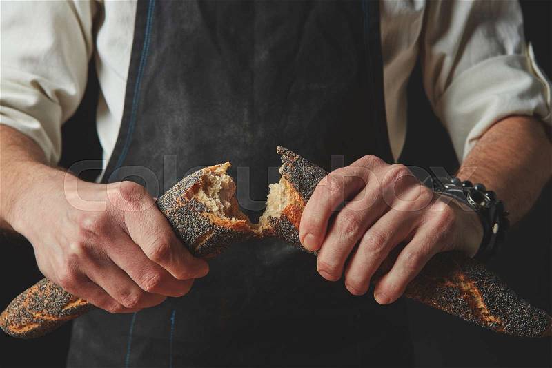 Divided by baguette by hand.On a dark background in the hands of a man, stock photo