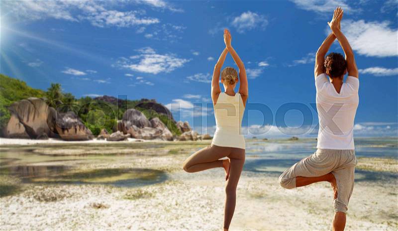 Fitness, people and recreation concept - couple doing yoga in tree pose from back over exotic tropical beach background, stock photo