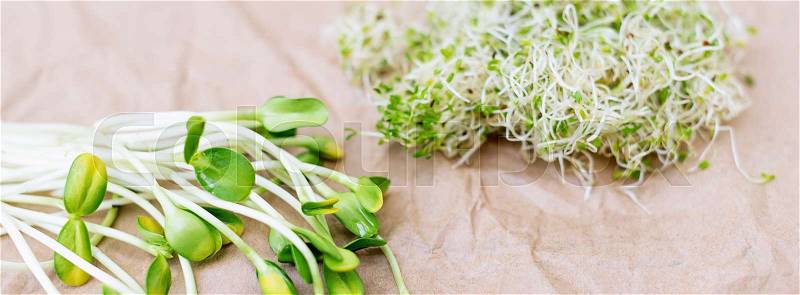 Mixed organic micro greens on craft paper. Fresh sunflower and heap of alfalfa micro green sprouts for healthy vegan food cooking. Healthy food and diet concept. Cut microgreens, top view, banner for website, stock photo