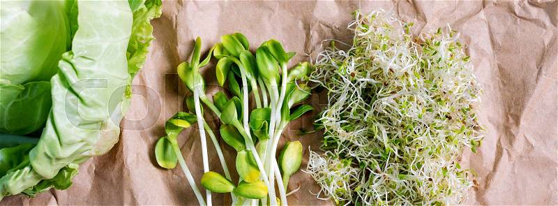 Mixed organic micro greens and cabbage on craft paper. Fresh sunflower and heap of alfalfa micro green sprouts for healthy vegan food cooking. Healthy food and diet concept. Cut microgreens, top view, banner for website, stock photo