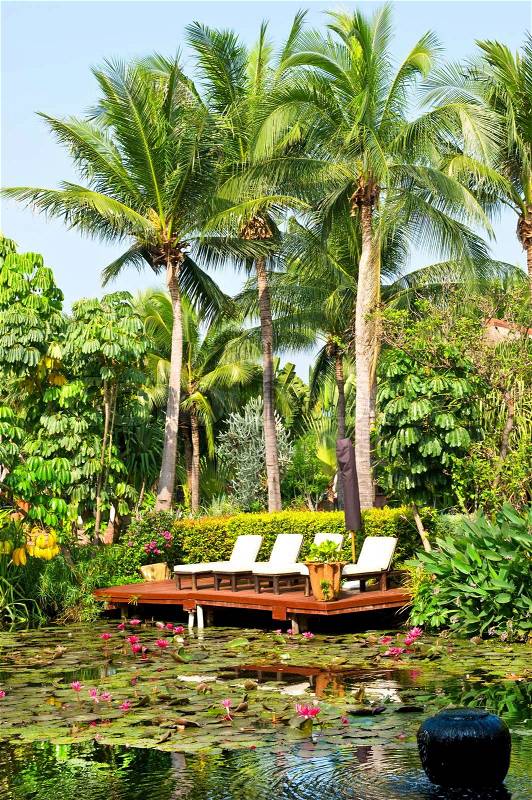 Pond with water lily flowers and palm trees luxury resort in thailand, hua hin, stock photo