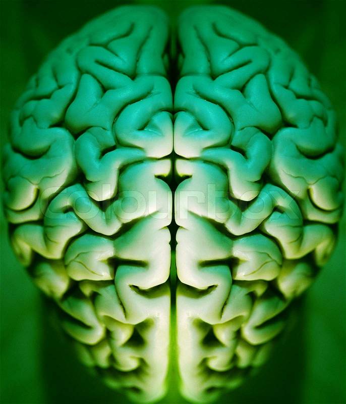 Human brain abstract, alpha, anatomy, art, brain,, stock photo