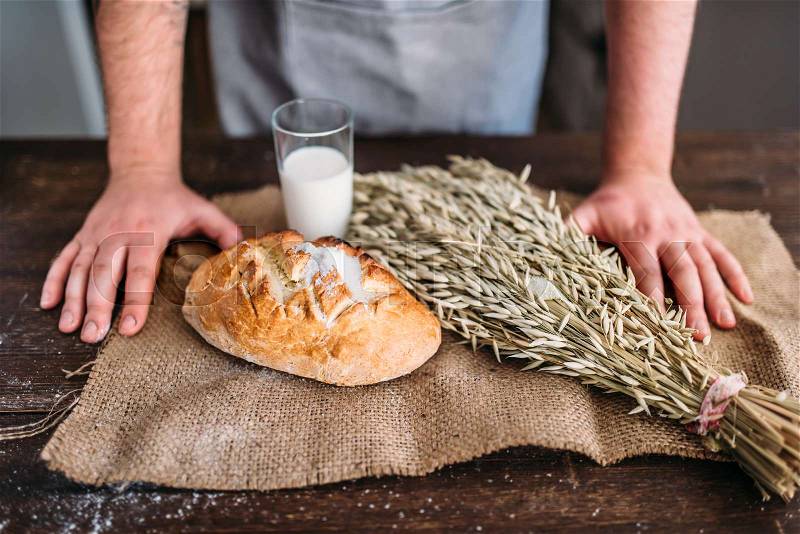 Homemade bakery concept, natural organic food. Baker hands against fresh baked bread bun with crispy crust, wheat bunch and glass of milk on burlap cloth, stock photo