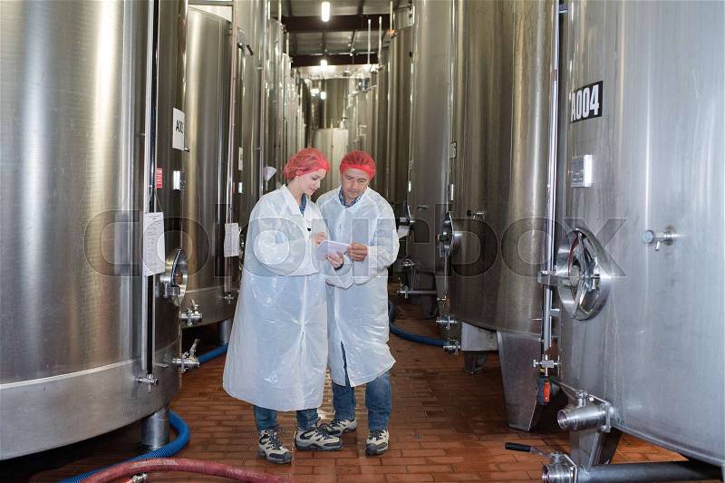 Workers between large wine vats, stock photo