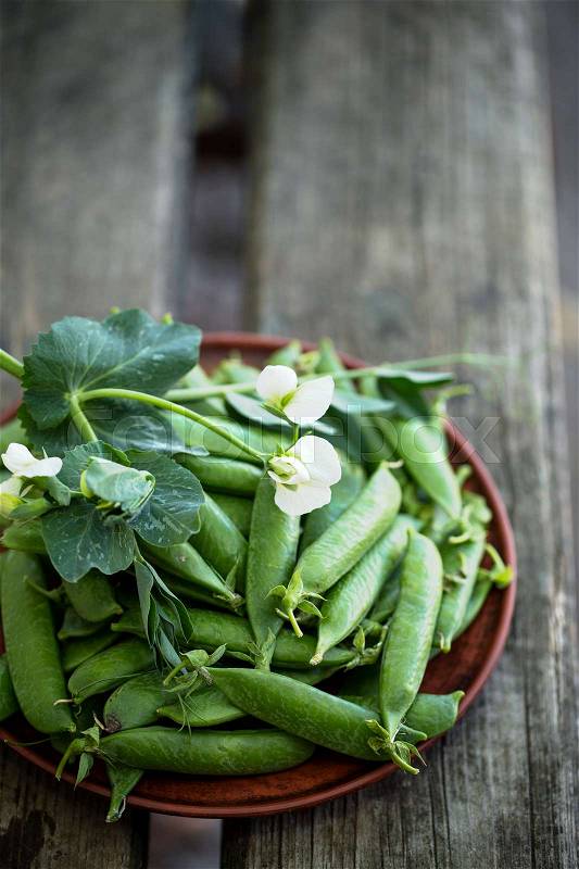 Fresh organic green peas in rustic style, stock photo