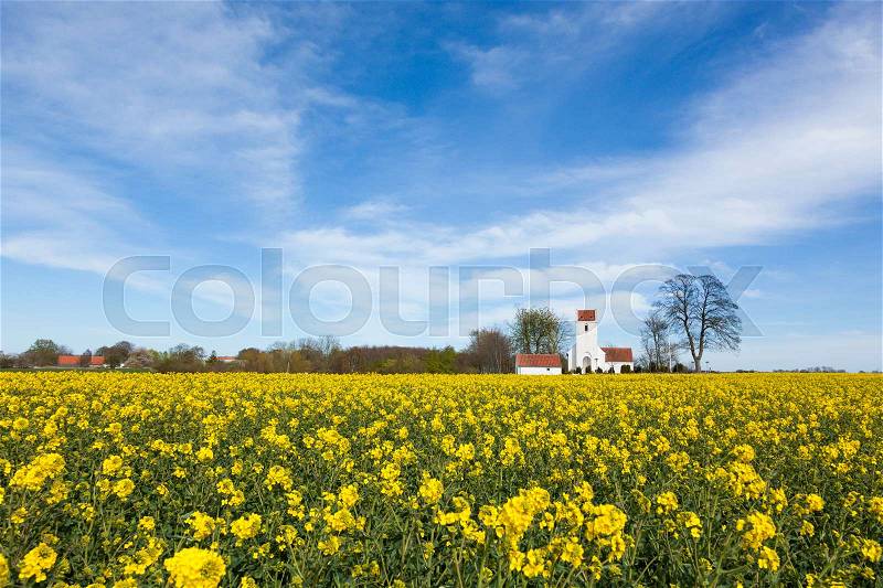 Karlby church and rape fields near Grenaa, Jutland, Denmark, stock photo