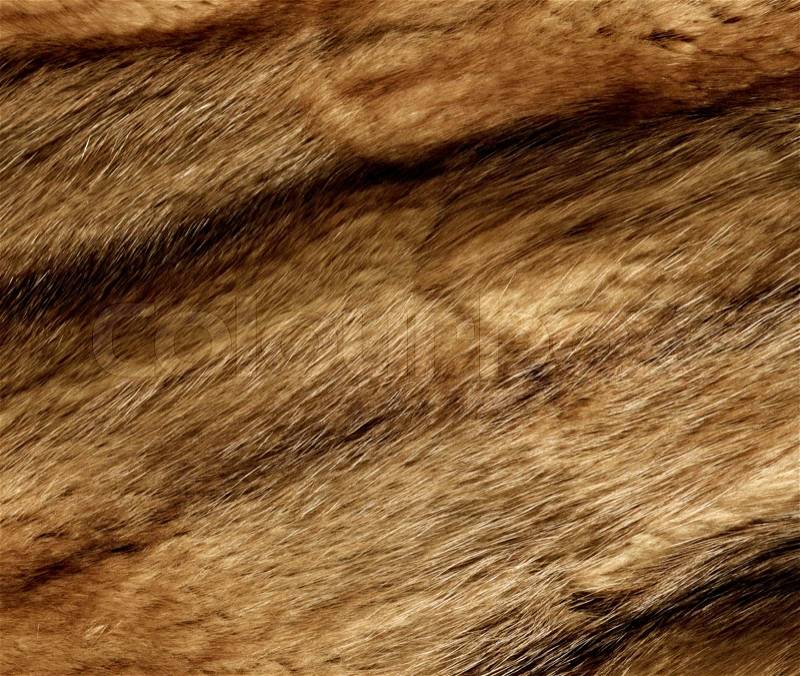 Close up of an animal colored fur texture, stock photo