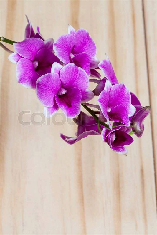 Pink flowers on wooden floor.Beautiful pink orchid flower on wooden background look like, stock photo