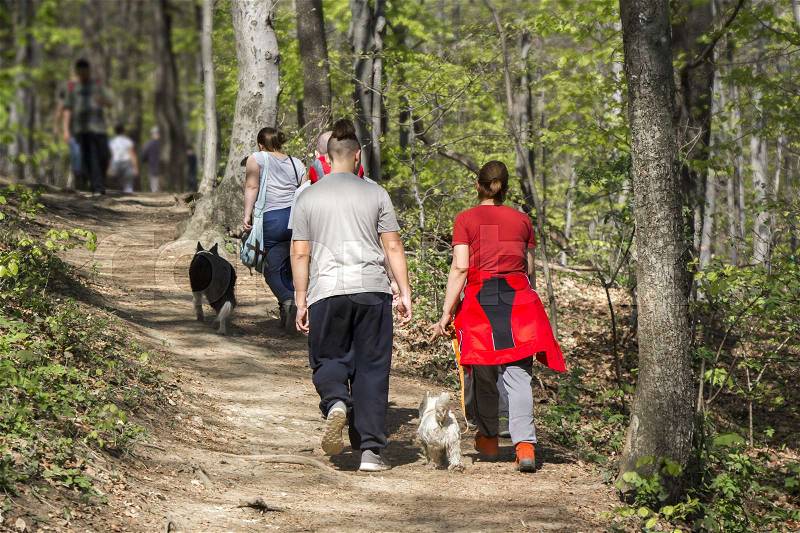 Group of hikers in a walk in nature, stock photo
