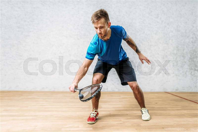 Squash game training, male player with racket and ball, indoor court on background, stock photo