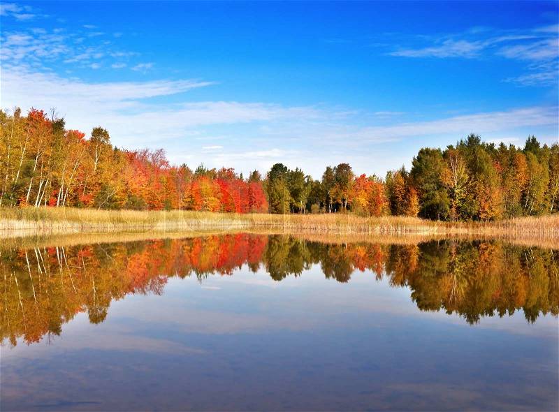 An autumn colorful forest by the small lake, stock photo