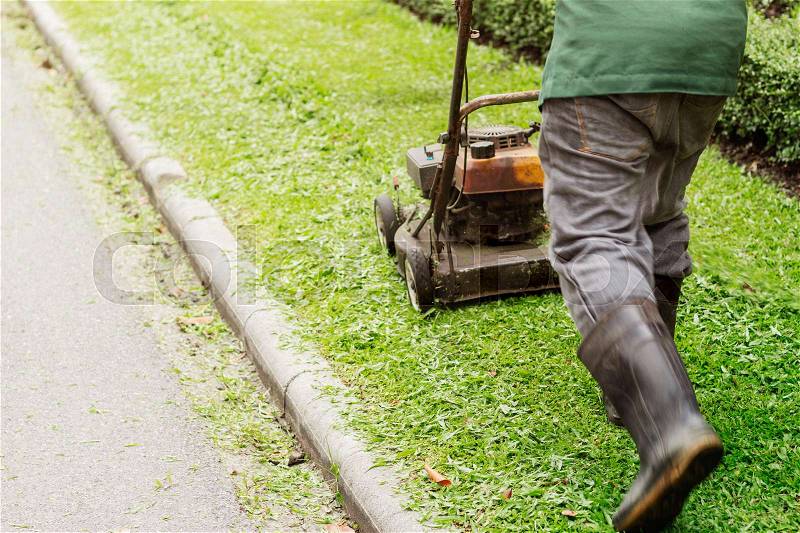 Back of man is using a lawn mower in the garden, stock photo