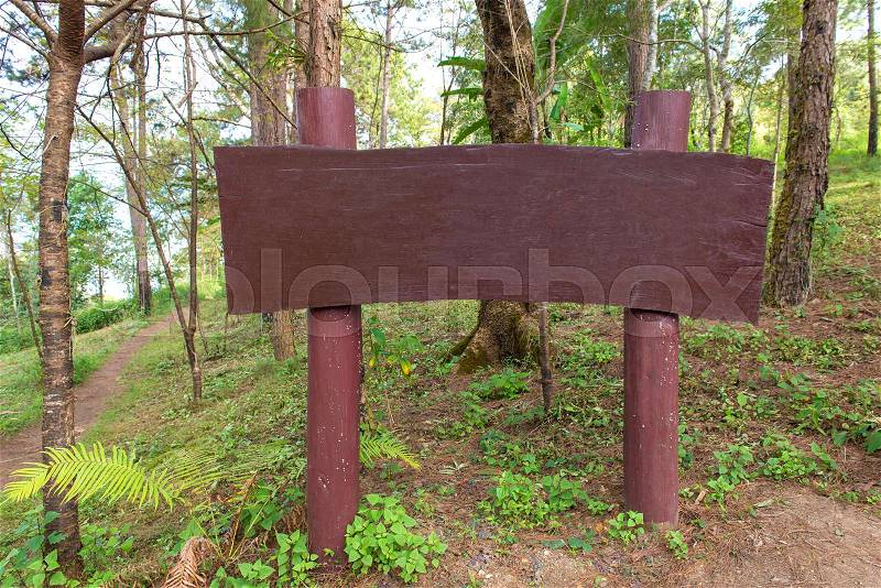 Wood sign or billboard for advertisement in a forest, stock photo