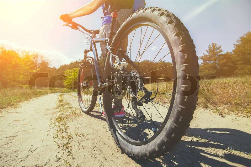 One young woman - an athlete in the pink shoes walks with the mountain bike in a pine forest on a summer day, stock photo