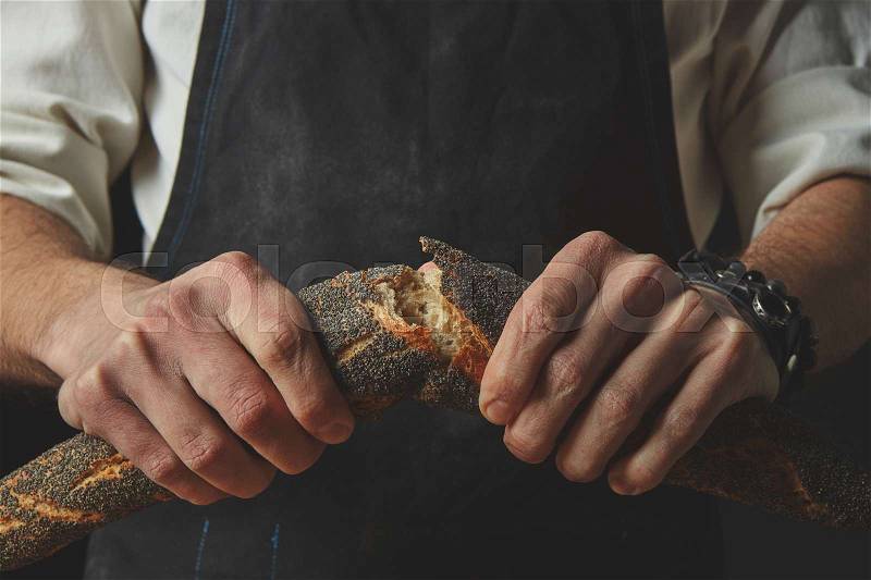 Men Hand breaking and separating a freshly baked baguette with poppy seeds on a dark background. Concept of bread, stock photo