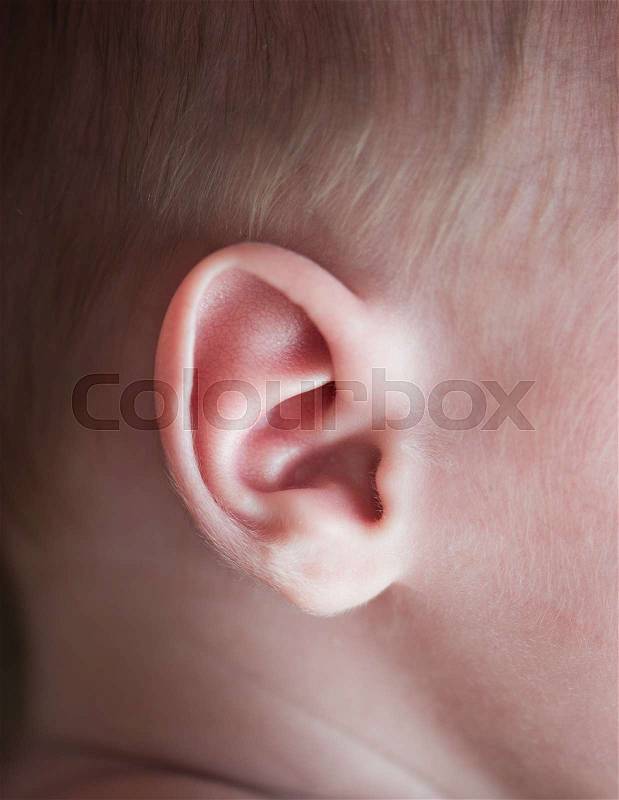 Ear of a newborn baby shot close-up of a macro lens, stock photo