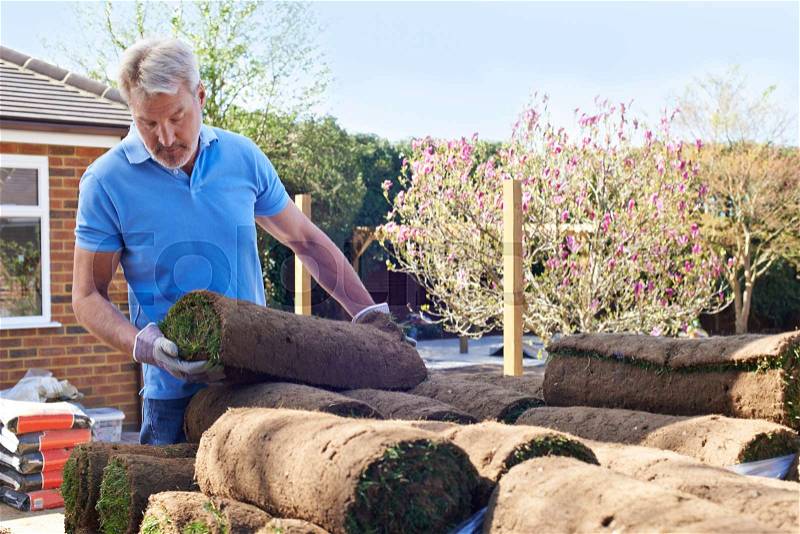 Landscape Gardener Laying Turf For New Lawn, stock photo