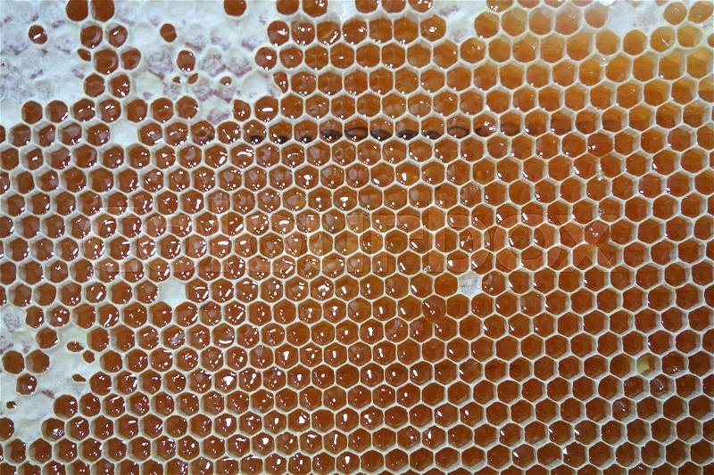 Sweet fresh honey in yellow honeycomb frame, stock photo
