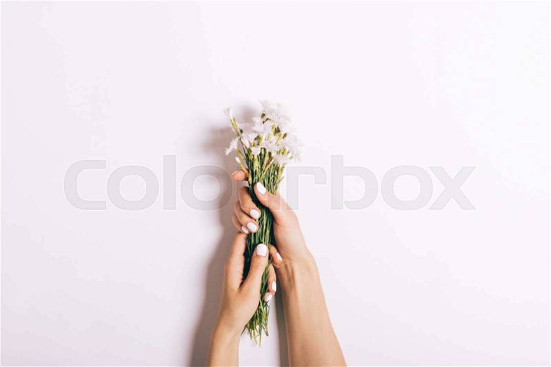 Beautiful female hands with manicure hold a bouquet of small carnations on a white background, close-up, stock photo