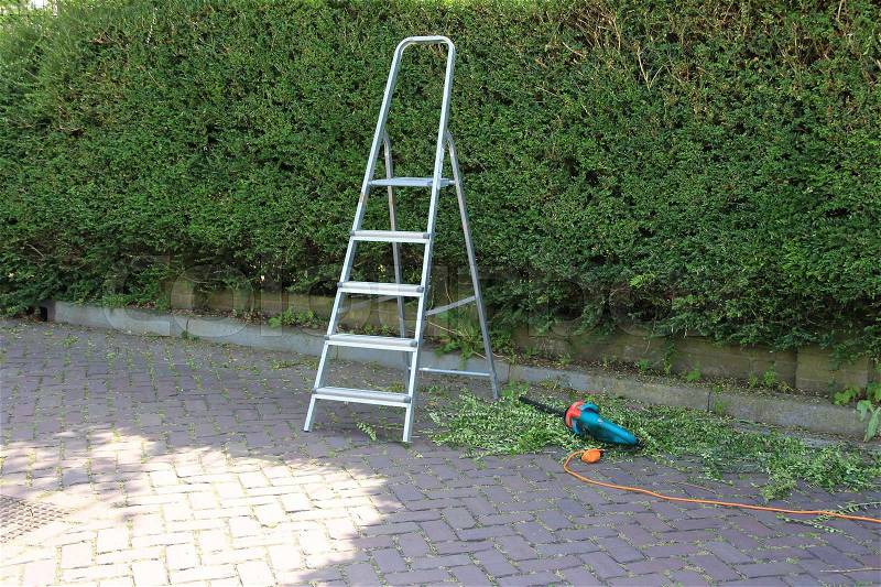 A hedge, step ladder and an electric hedge trimmer for cutting the hedge in the summer, stock photo