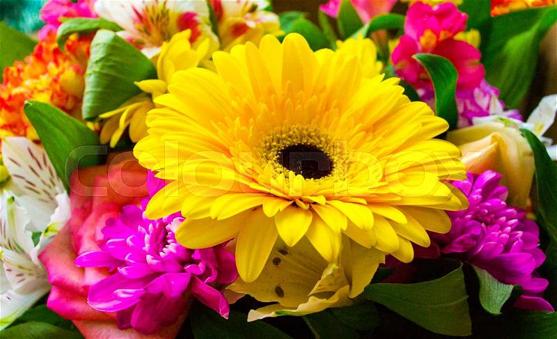Bouquet of flowers. bouquet of flowers roses gerbera flowers carnations, stock photo