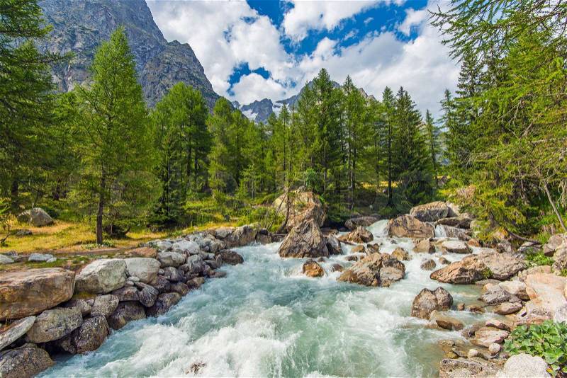 Mountain River Rush. Crystal Clear Water Coming From a Nearby Alpine Glacier. Italian Alps Landscape, stock photo