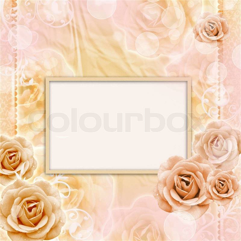 Beautiful Roses Background, stock photo