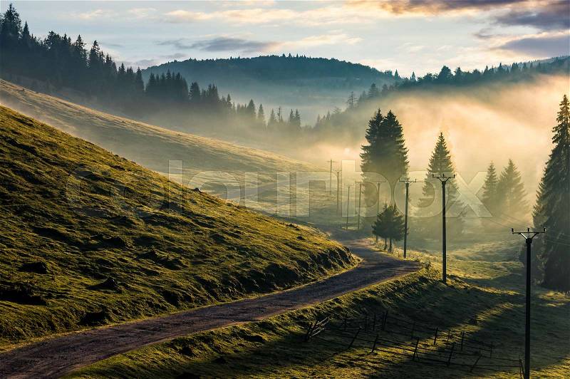 Country road through foggy spruce forest on grassy hills. spectacular countryside landscape in mountains at sunrise, stock photo