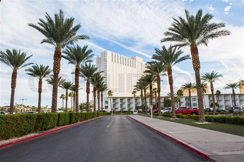 Straight road with rows of palm trees right and left with the building in background, las vegas, USA, stock photo