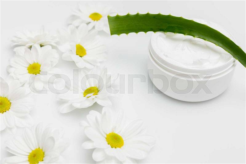 Close-up view of natural cream in container, aloe vera plant and chamomiles isolated on white , stock photo