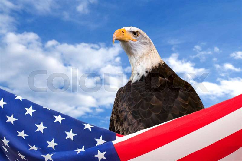 US flag border with eagle on blue sky background, stock photo