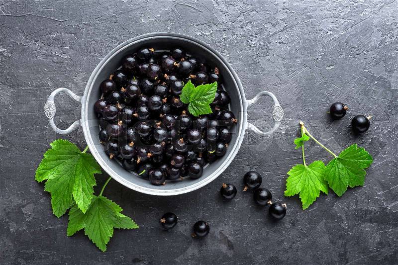 Blackcurrant berries with leaves, black currant, stock photo