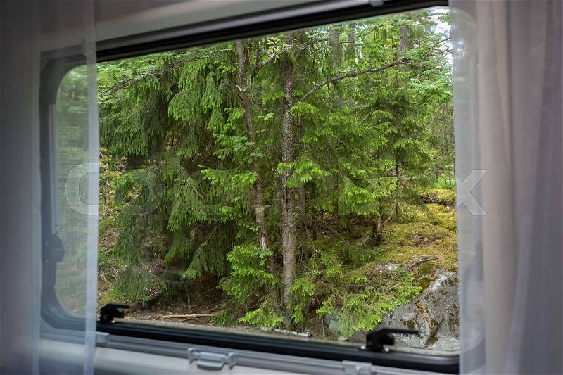 Forest landscape, view from the camper window, stock photo