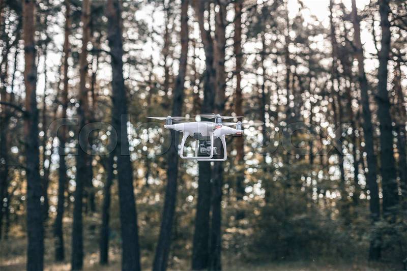 Hovering drone taking pictures in forest. The drone flies against the background of a summer, stock photo