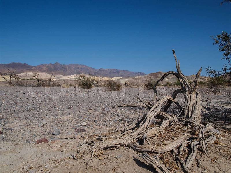 Image of Mountains, dry tree and desert landscape with blue sky. Death Valley National park, USA, stock photo