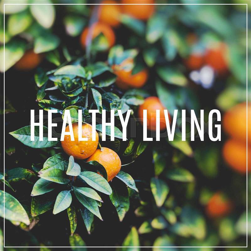 Word Healthy Living. Branches with the fruits of the orange trees. , stock photo
