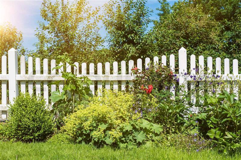 Garden scene with flowers and plants in front of white wooden fence with green trees and blue sky in background, stock photo