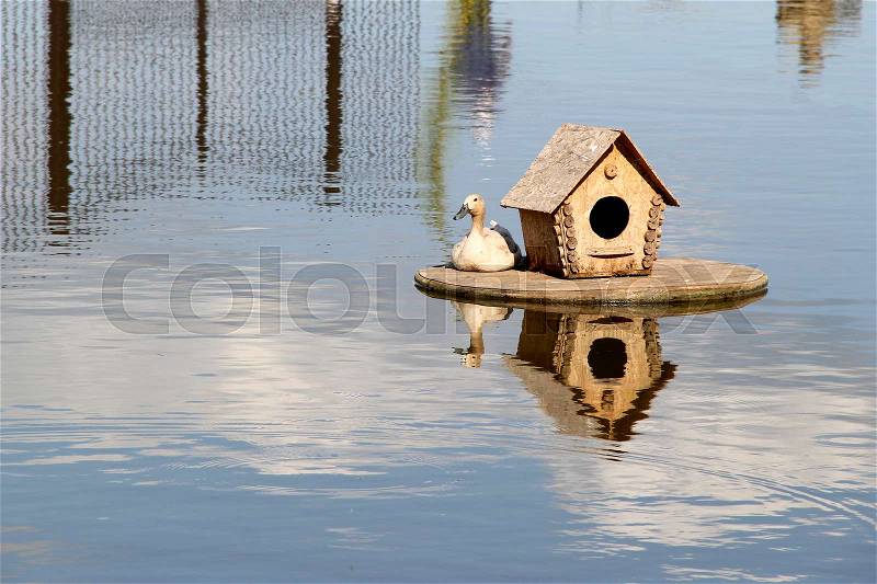 Wood Duck house on the lake. photo, stock photo