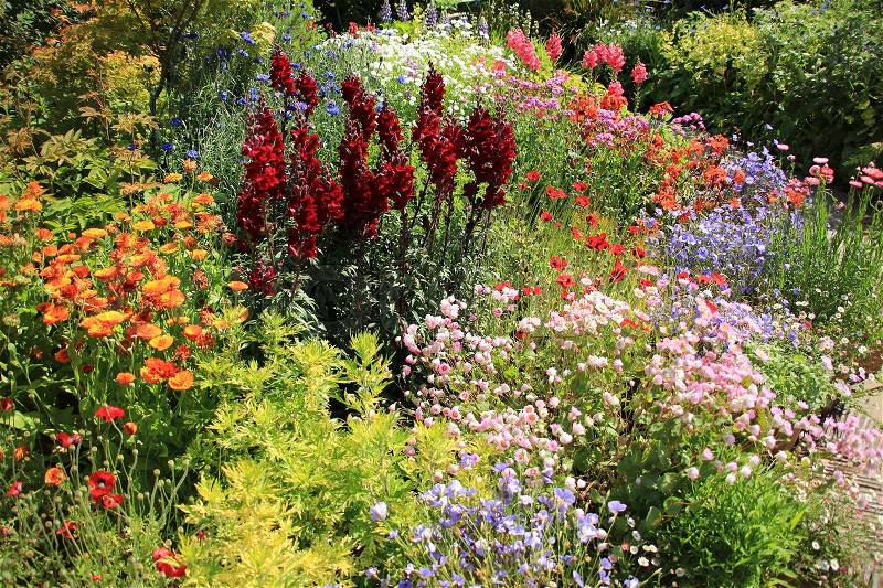 A mix of blooming flowers in different colours in one of the cottage gardens of Great Dixter House & Gardens in England in the beautiful summer, stock photo