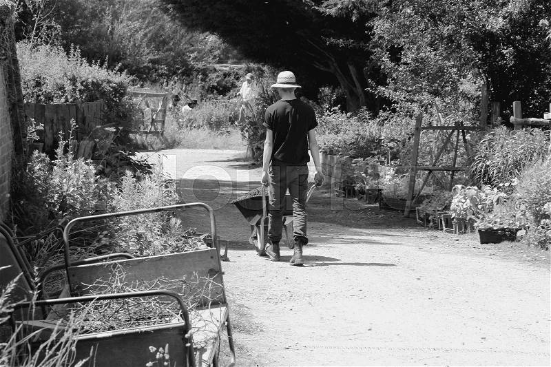 The male employee with straw hat is walking with the wheelbarrow over the estate of Great Dixter House & Gardens in England in the beautiful summer in black and white, stock photo