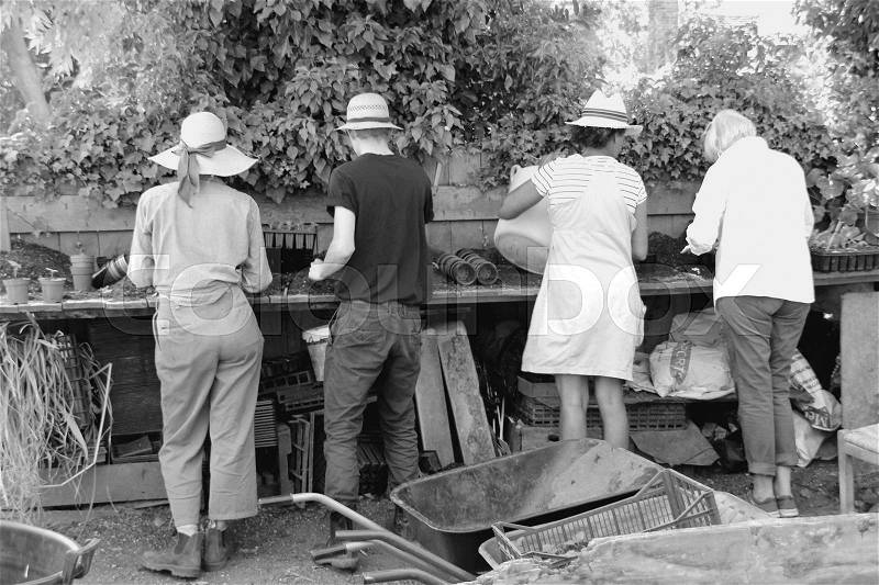 The male and female employees are working on the wooden table in the shadow on the estate of Great Dixter House & Gardens in England in the beautiful summer in black and white, stock photo