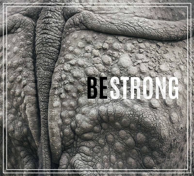 Word Be Strong. Closeup of the strong armor of a rhinoceros, stock photo